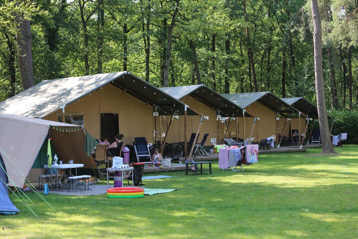Bonte Vlucht - Camping in Hollands Städten