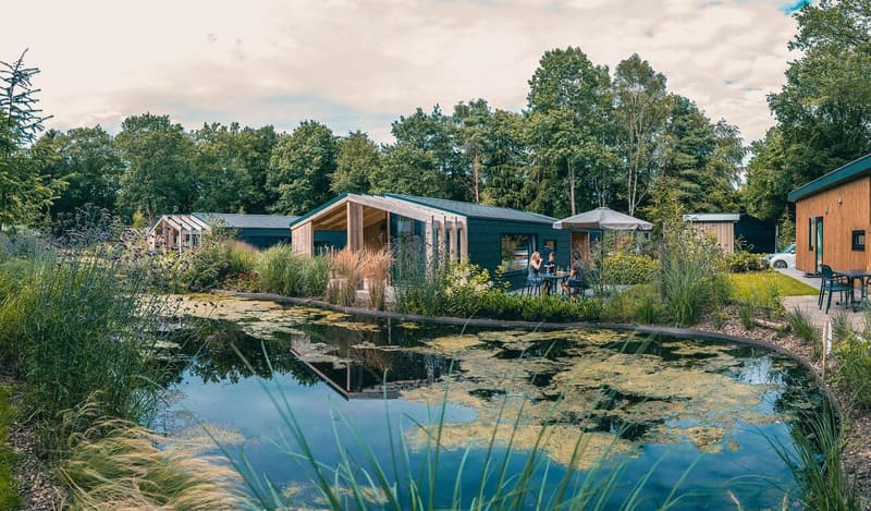 Ferienhaus Holland: Finde deine perfekte Unterkunft für den Traumurlaub