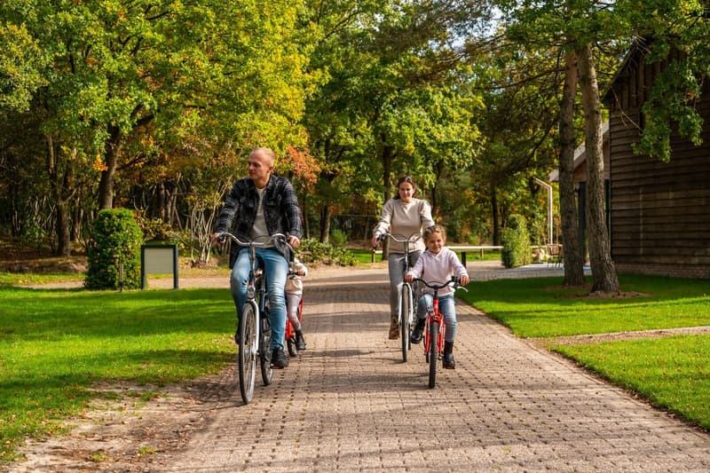 Holland mit Kindern: Die besten Ausflugsziele & Ferienparks für Familien