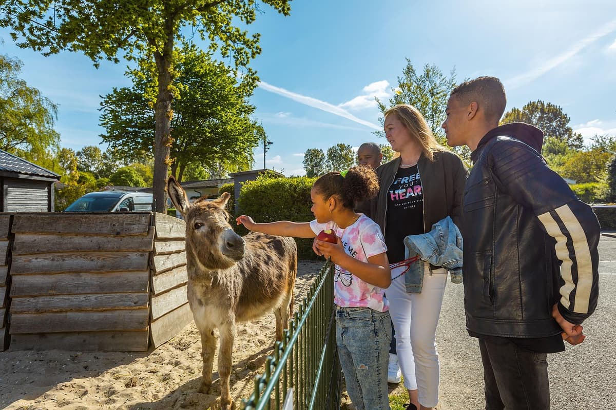 EuroParcs Molengroet - Ferienhaus Holland Nordsee