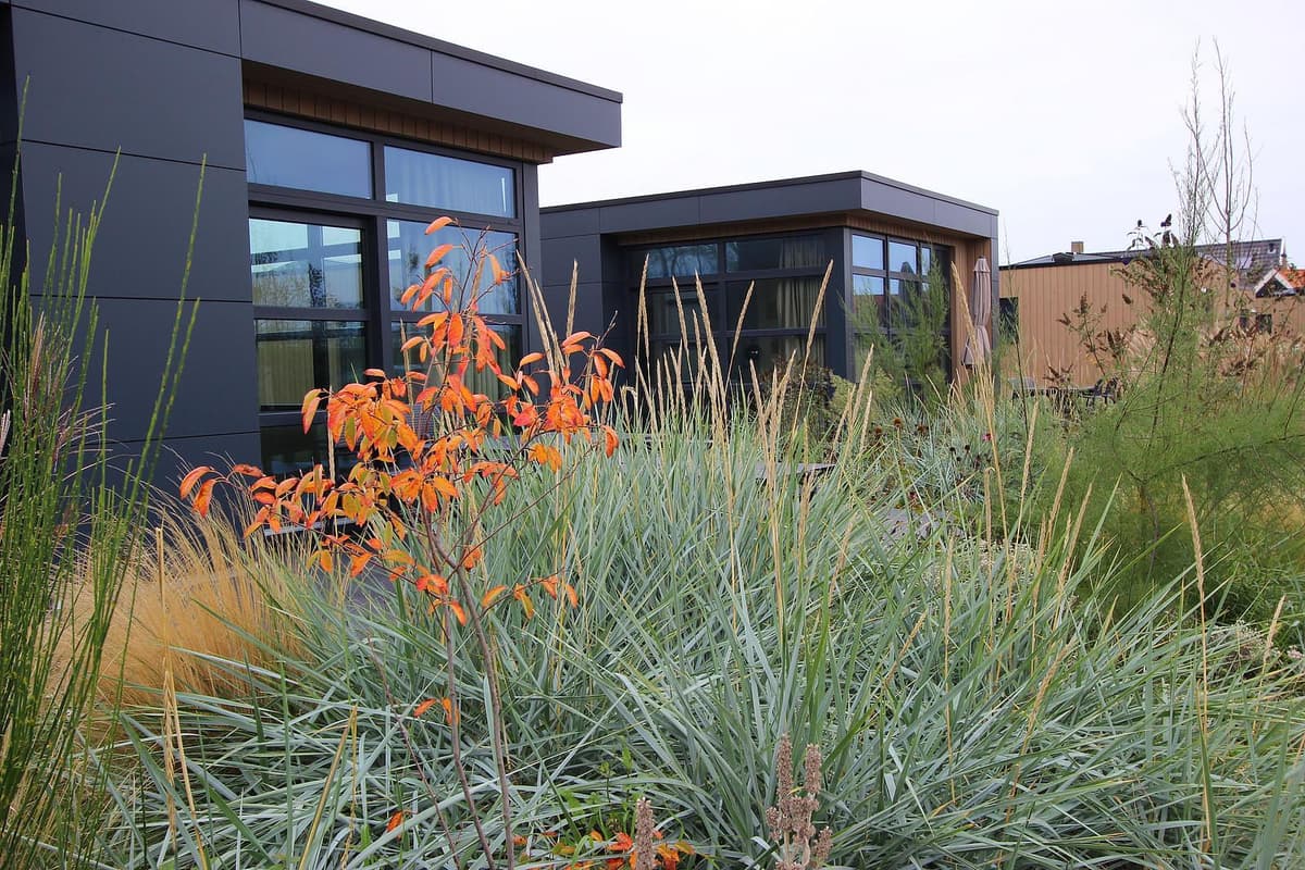 EuroParcs De Zeeuwse Duinen - Die holländische Küste