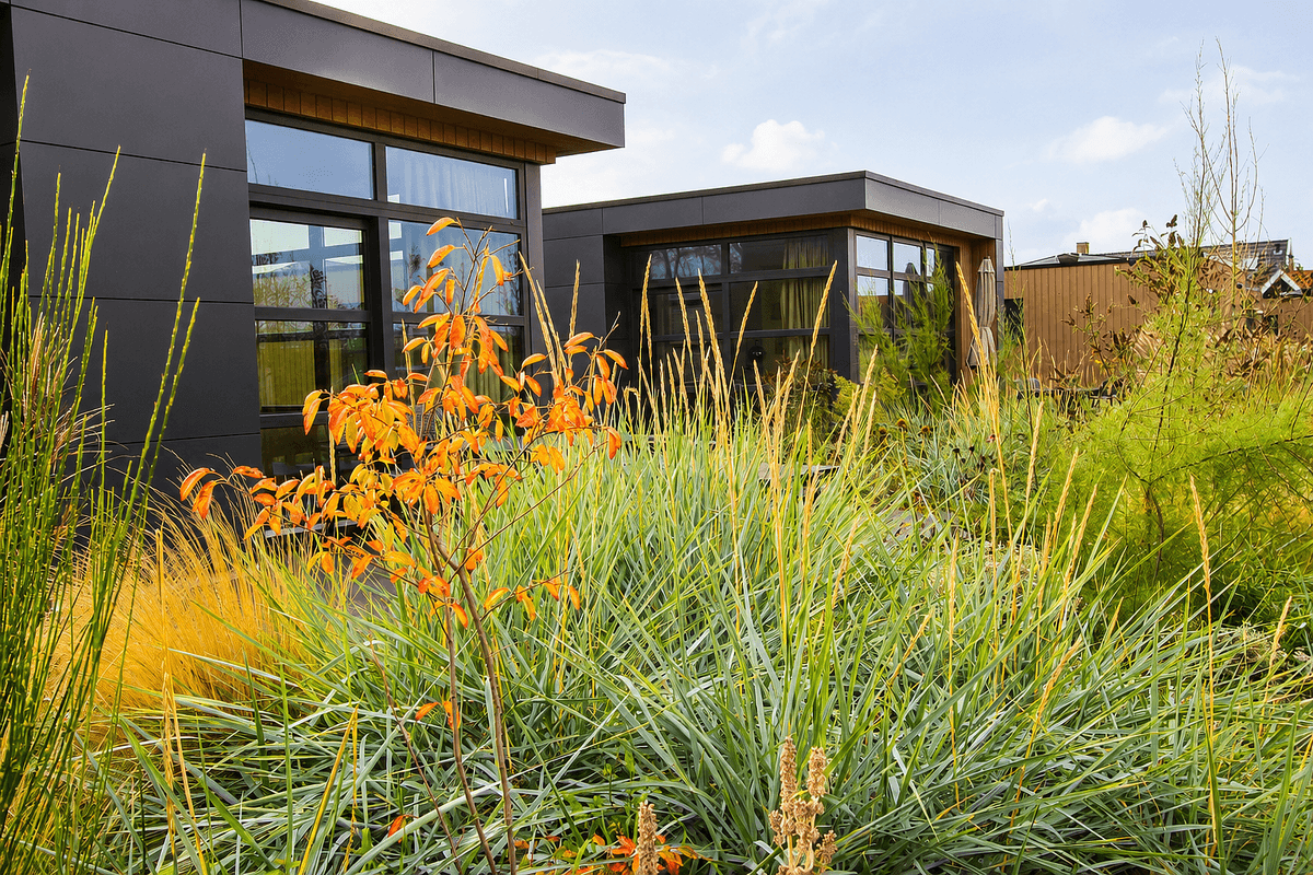 EuroParcs De Zeeuwse Duinen - Aktivitäten in Holland