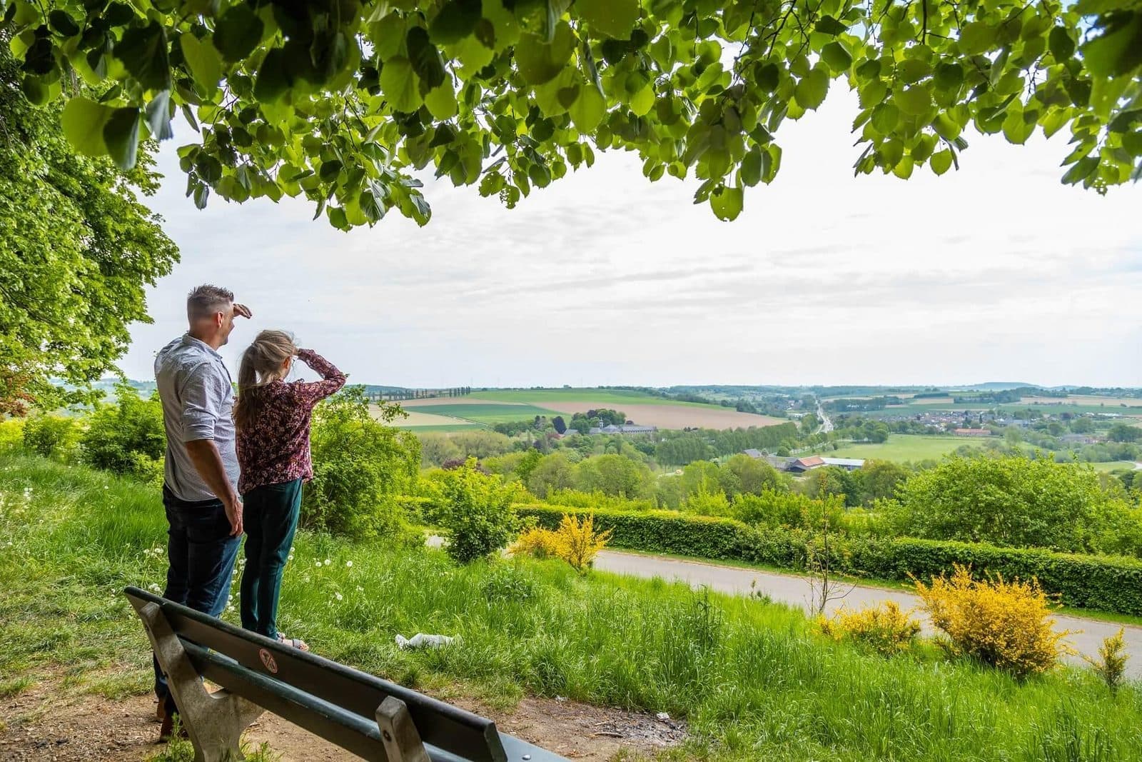 Mobilheim mieten in Holland: Die besten Parks für deinen Urlaub am Meer & in der Natur